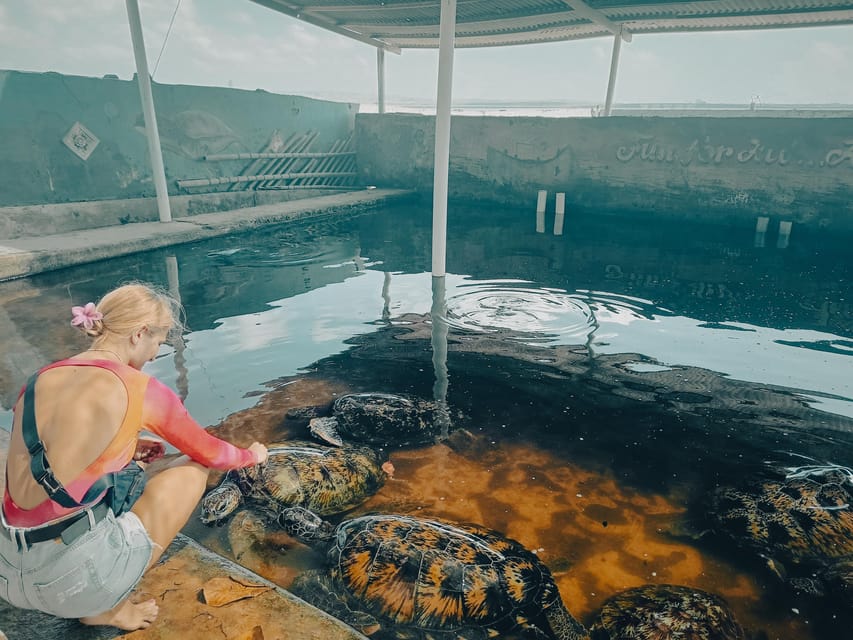 Bali: Kayaking With Mangrove Preserving and Turtle Release