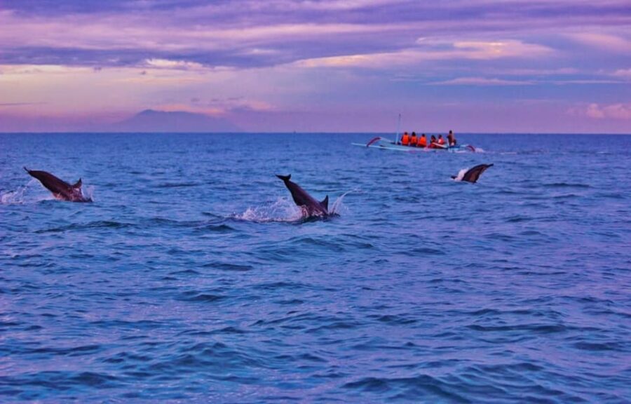 Bali: Lovina Tour to See Dolphin