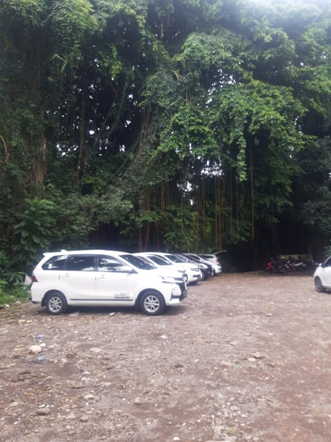 Bali: Private Taxi Transfer Airport From/To Ubud