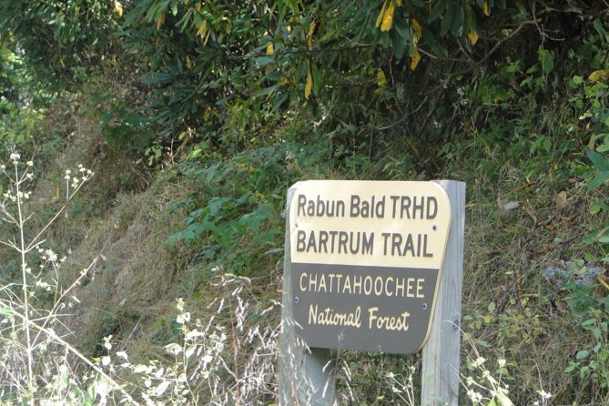 Bartram Trail Hike Plus Wine Tasting