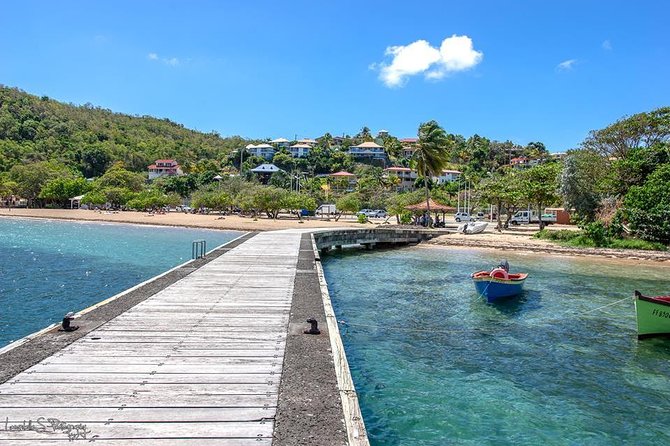 Beachcombing in Paradise South Caribbean V.I.P Tour