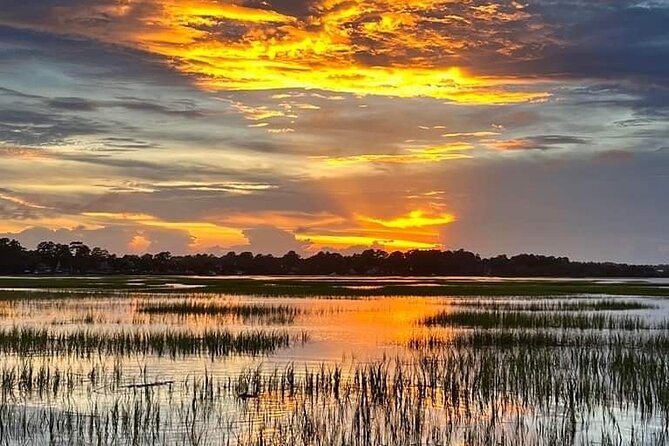 Beaufort Private Dolphin Excursions Review