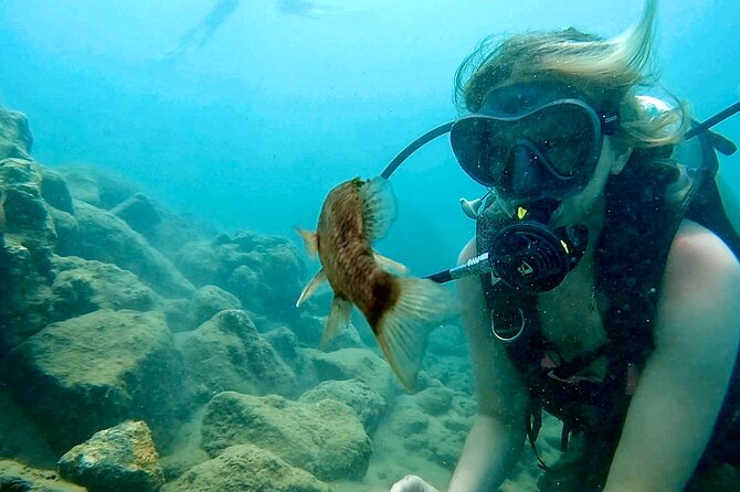 Beginner Scuba Diving Experience With Videos in West Palm Beach