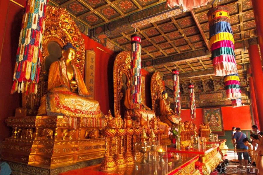 Beijing: Lama Temple, Confucius Temple and Guozijian Museum