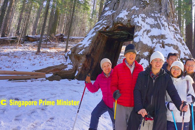 Best 1-Day Yosemite National Park Tour Review