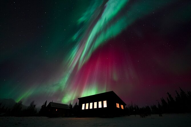 Best Alaskan Cabin Aurora Viewing With Photography @Aurora Camp