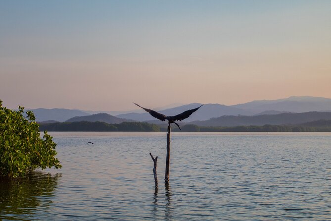 Best Birdwatching Lagoon Tour