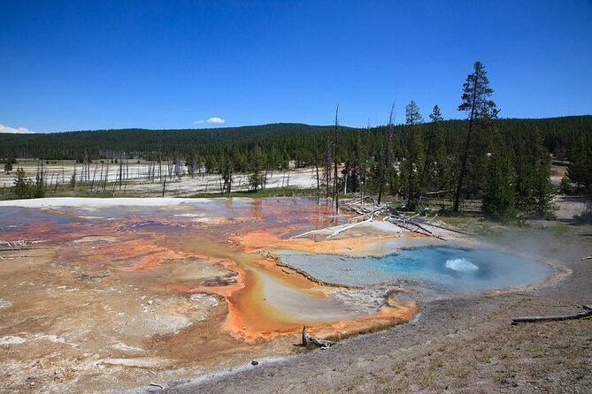 Best of Yellowstone Natl Park Review