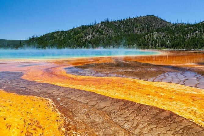 Best of Yellowstone Tour Review