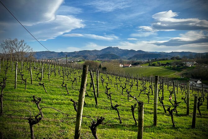 Biarritz: Half-Day Excursion to Spanish Neighbor Fontarrabia