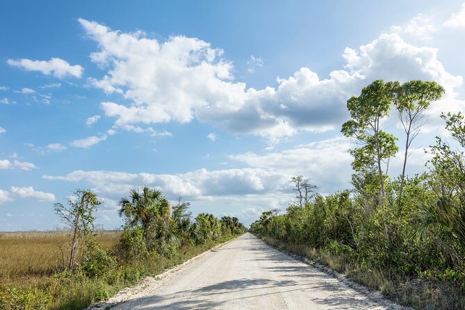 Big Cypress National Preserve Audio Tour Review