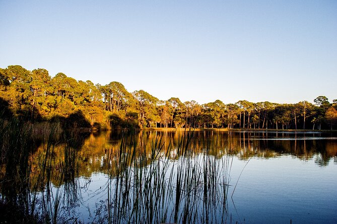 Big Cypress National Preserve Tour Review