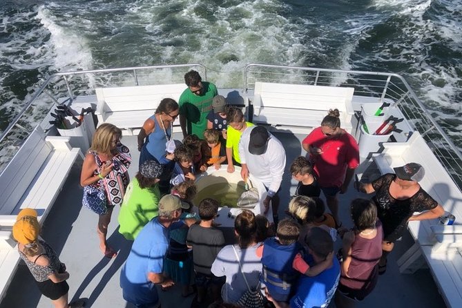 Big Fun Dolphin Cruise & Sealife Experiece ORANGE BEACH ALABAMA - An Unforgettable Cruise Adventure