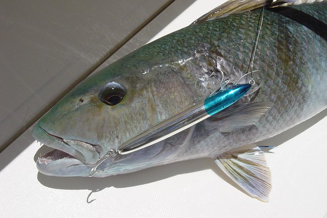 Big Game Fishing a Fishing Charter in Seychelles