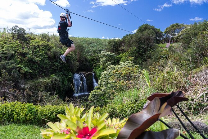 Big Island Zipline Over Kolekole Falls W/ Hilo Cruise Ship Pickup