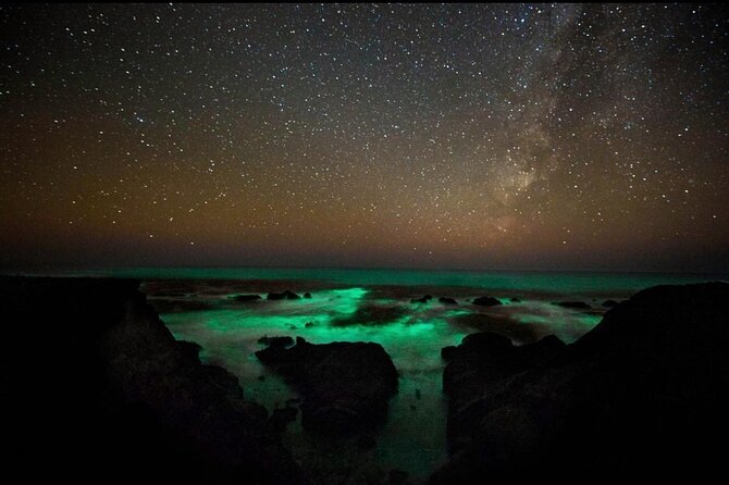 Bioluminescence and Sunset Kayak Tour Review