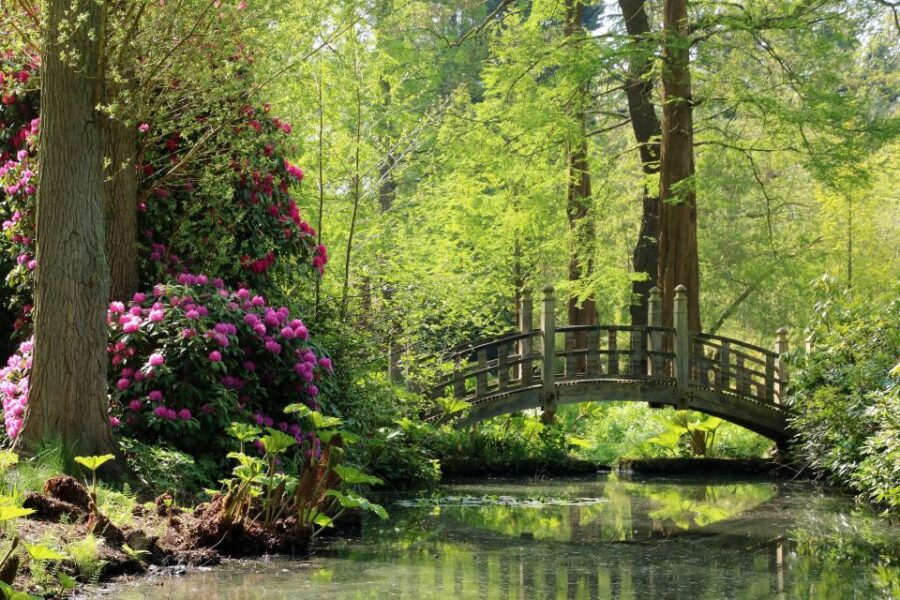 Birmingham: Winterbourne House and Garden Admission Ticket - Ticket Information and Pricing