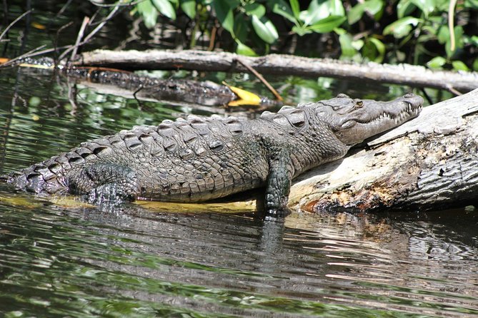 Black River Safari & YS Falls Tour From Runaway Bay - Inclusions
