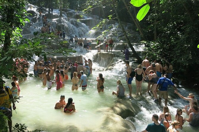 Blue Hole, Secret Fall, Dunns River Falls, Half Day Tour Combo