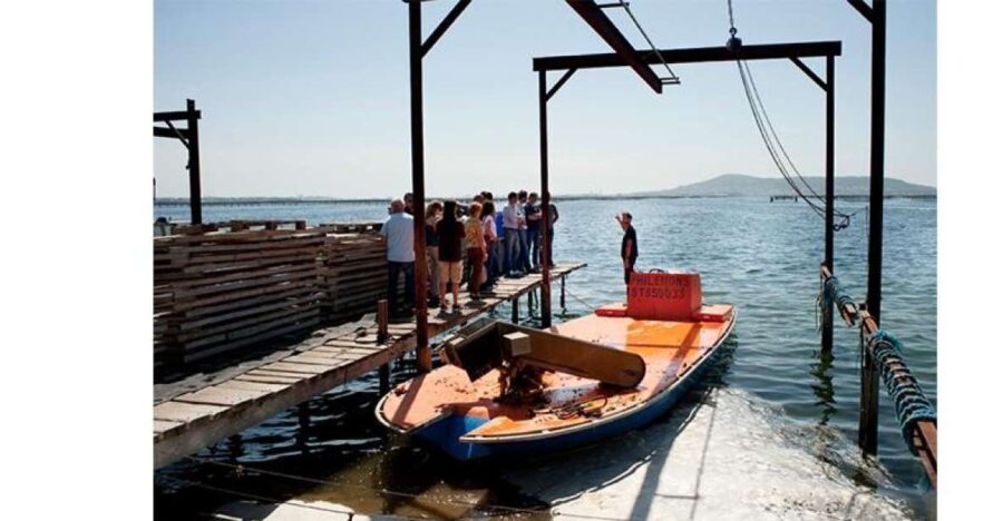 BOUZIGUES: TASTING VISIT TO AN OYSTER FACTORY