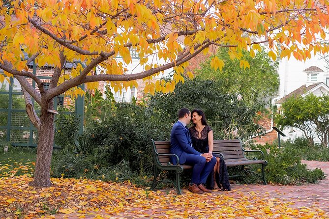 Branson Holiday Photoshoot: A Review
