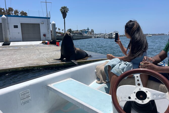 Bring-Your-Own-Food and Drinks Marina Del Rey Boat Tour