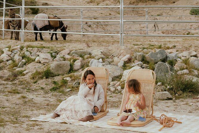 Brunch With Mini Rescue Burros in Southern California
