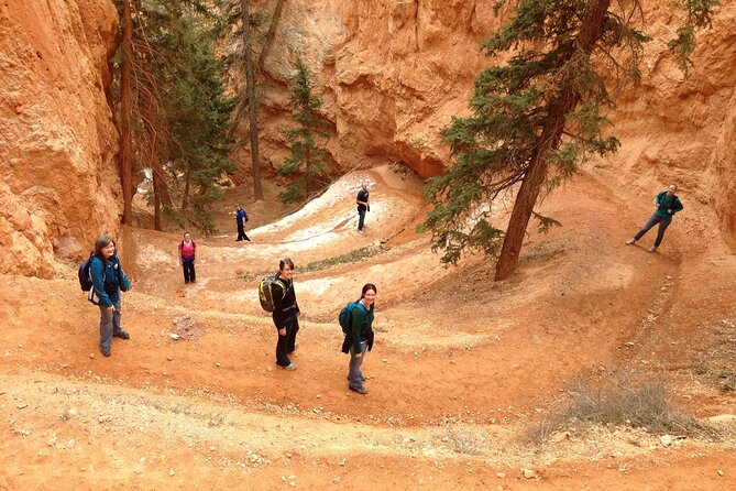 Bryce Canyon and Zion National Park Tour in Las Vegas