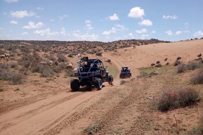 Buggy Tour In Agadir - Overview of Buggy Tour