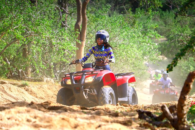 Cactus Combo Combine Two of Your Favorite Desert Tours - Pricing and Inclusions
