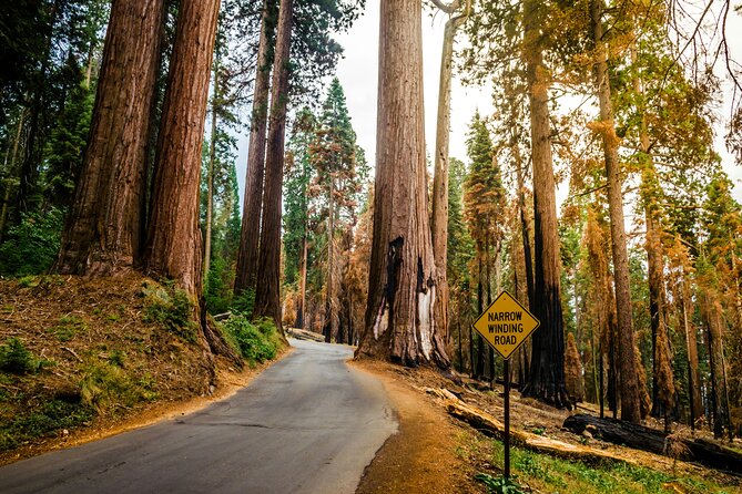 California Parks Highlights Tour Review