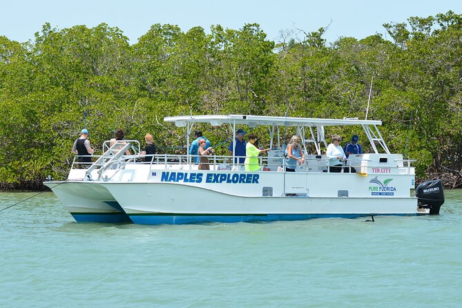 Calm Bay Fishing - Overview and Experience