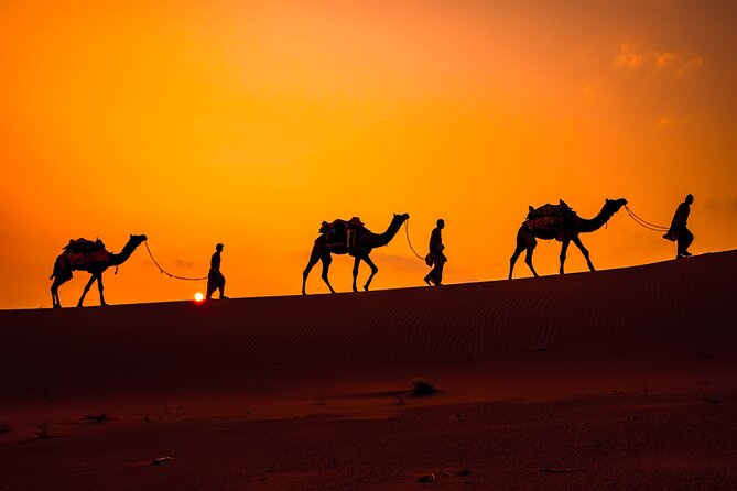 Camel Ride and Dinner in the Agafay Desert With Transportation - Tour Overview
