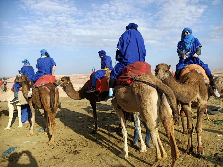 Camel Ride In Agafay Desert
