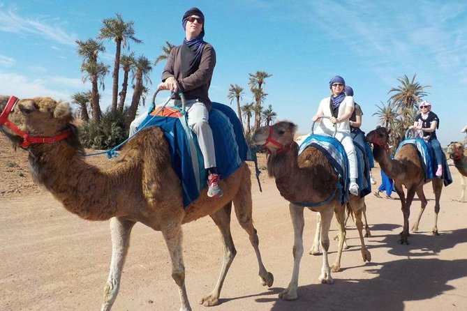 Camel Ride Marrakech - Overview of Camel Rides