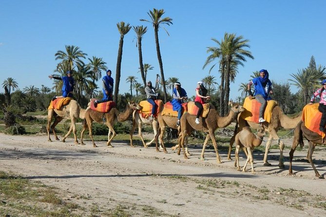 Camel Ride Tour in Marrakech