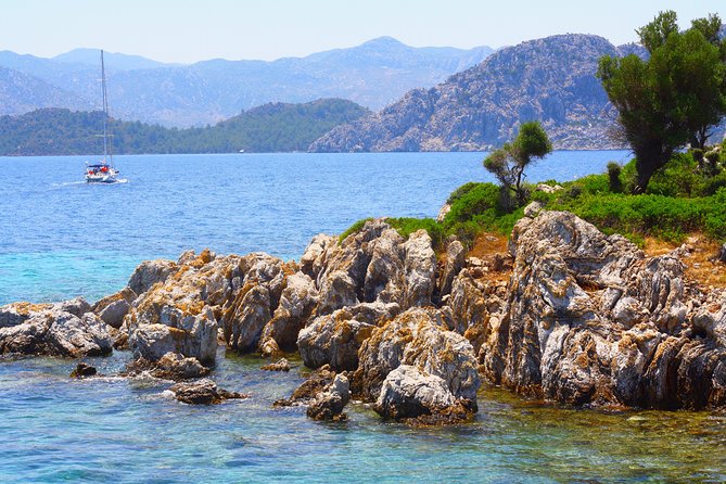 Camellia Island Boat Trip