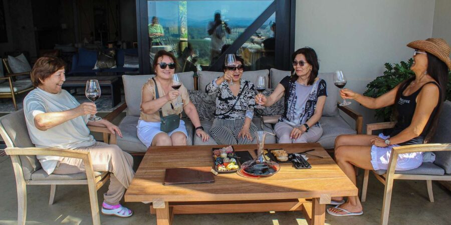 Cape Town: Constantia Winelands Half Day Tour