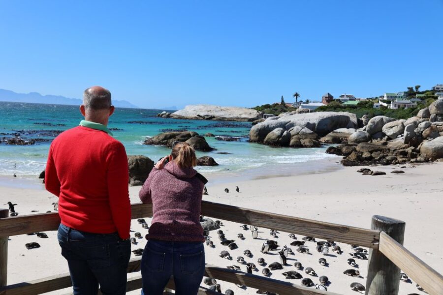 Cape Town: Penguin Watching at Boulders Beach Half Day Tour