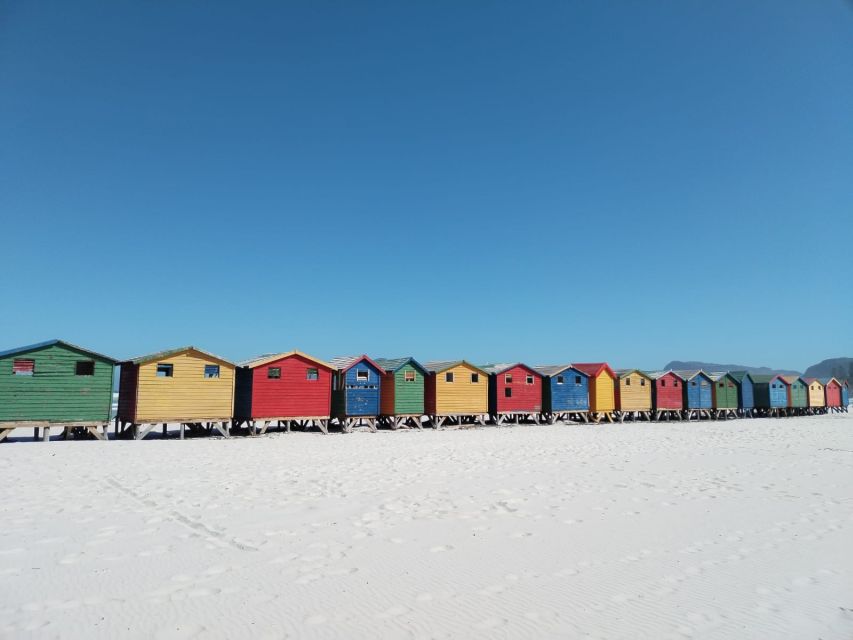 Cape Town: Seal Island, Cape of Good Hope& Penguins Private