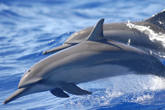 Captain Cook Snorkeling Cruise Review - Meeting and Pickup Details