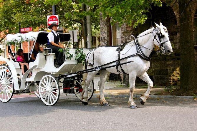 Carriage Ride in Central Park (VIP - PRIVATE) Since 1964™ - Overview and Experience