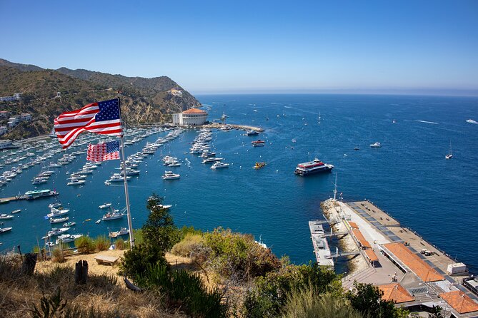 Catalina Island City and Scenic Mt Ada Tour Review - Pricing and Inclusions