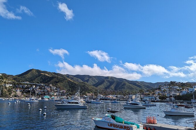 Catalina Scavenger Hunt Walking Tour and Game - Overview of the Scavenger Hunt