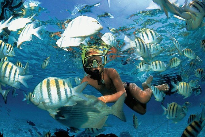 Catamaran Adventure to Isla Mujeres With Snorkel,Buffet,Open Bar and Beach Club