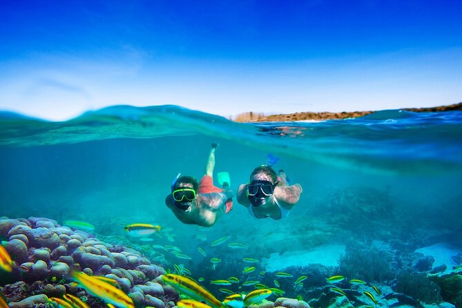 Catamaran Cruise, Snorkeling and Dunns River Falls - Ocho Rios: Jamaicas Coastal Gem