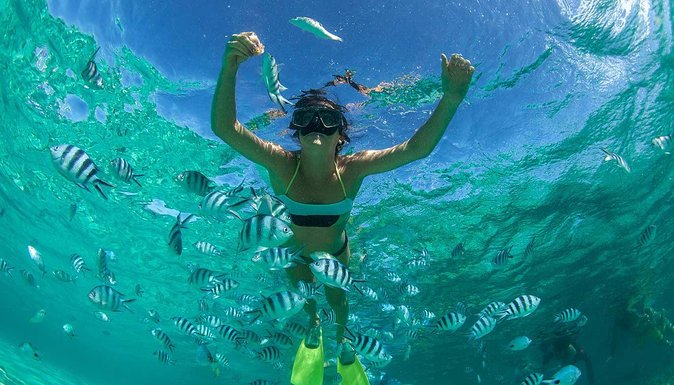 Catamaran Experience to Ile Aux Cerf: Incl: Parasailing, Lunch, GRSE & Transfer