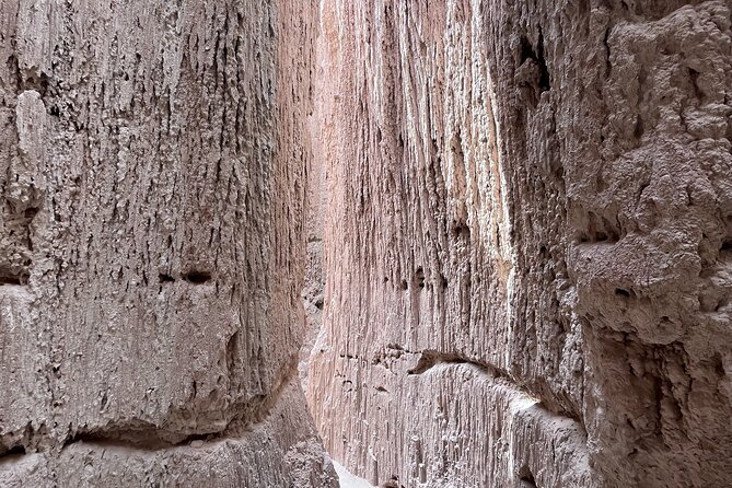 Cathedral Gorge State Park and Area 51 Day Tour From Las Vegas