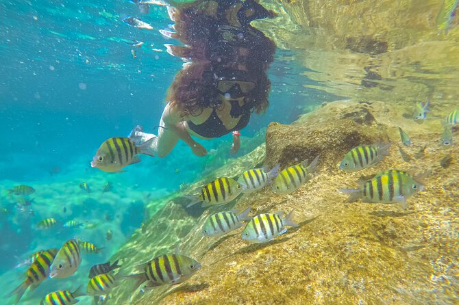 Cenote; Snorkeling and Photos With Colorful Fish - Ideal Location in Playa Del Carmen