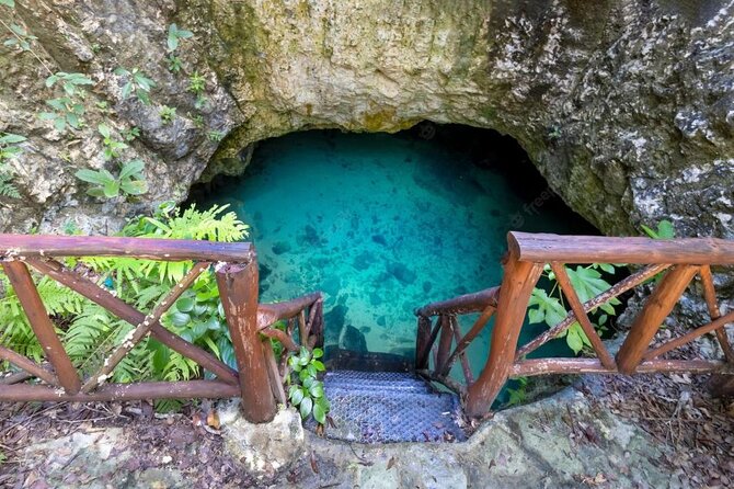 Cenotes Casa Tortugas Tour - Overview of Cenotes Casa Tortugas